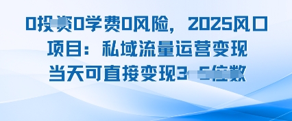 0学费0风险，2025风口项目：私域流量运营变现，当天可直接变现-站源网