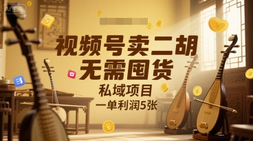 视频号卖二胡，无需囤货，私域项目，一单利润5张-站源网