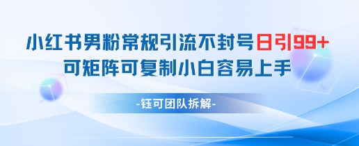 小红书男粉常规引流不封号日引99+变现简单 可矩阵可复制小白容易上手-站源网