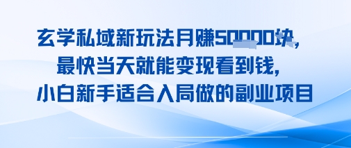 玄学私域新玩法月入1W+，最快当天就能变现看到米，小白新手适合入局做的副业项目-站源网