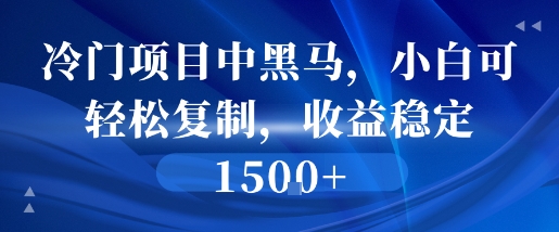 冷门项目中黑马，小白可轻松复制，收益稳定1.5k-站源网