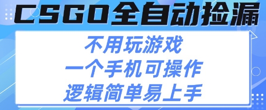 CSGO自动捡漏项目，最新独家玩法，不用挂G不用玩游戏，一个手机即可操作，新手小白轻松月入1W+【揭秘】-站源网