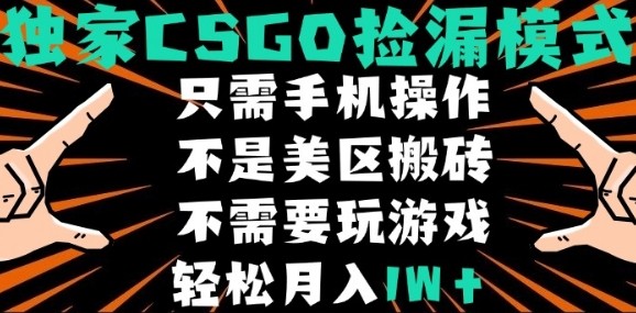 CSGO自动捡漏项目，最新独家玩法，不是美区搬砖，不需要了解和玩游戏，新手小白轻松月入1W+【揭秘】-站源网