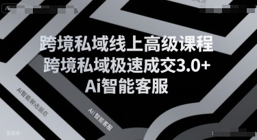 跨境私域线上高级课程，跨境私域极速成交3.0+Ai智能客服-站源网