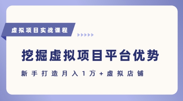 抓住虚拟项目各平台优势，新手轻松月入1W+(给出具体建议)-站源网
