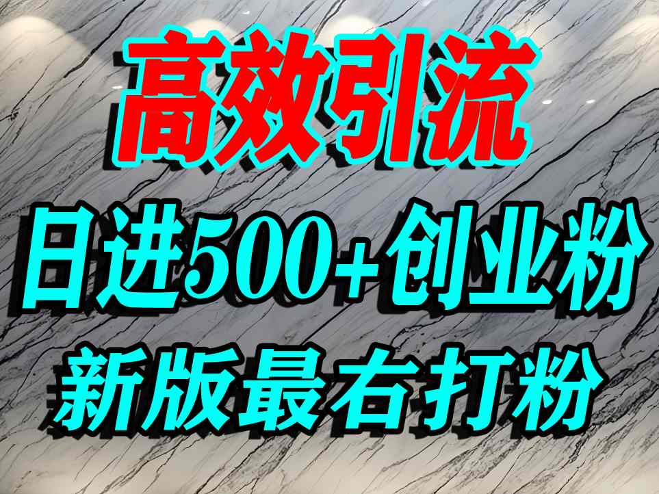 最右打创业粉，百分之九十九同行都不知道的空白蓝海，单人日引500+精准流量-站源网