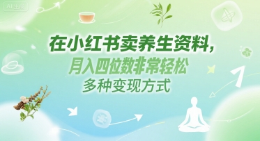 在小红书卖养生资料，月入四位数非常轻松，多种变现方式-站源网