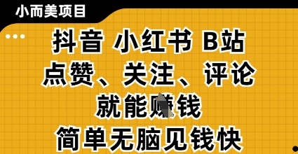 小而美的项目，抖音小红书B站视频点赞、关注、评论就能挣钱，简单无脑立见收益，妥妥的零撸项目【揭秘】-站源网