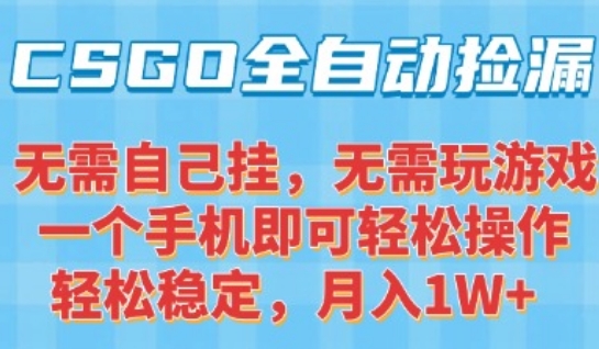 CSGO自动捡漏项目，最新独家玩法，一个手机可操作，新手小白轻松月入1W+，操作简单易上手【揭秘】-站源网