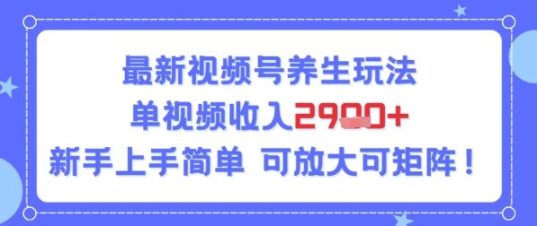 视频号养生玩法，单视频收入2.9k，新手上手简单-站源网