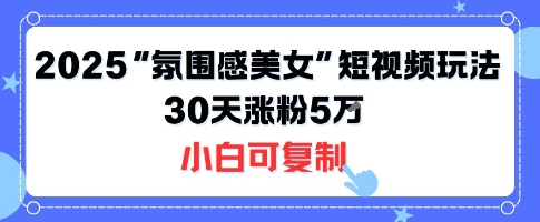 不露脸也能火！2025“氛围感美女”短视频玩法，30天涨粉5W小白可复制-站源网