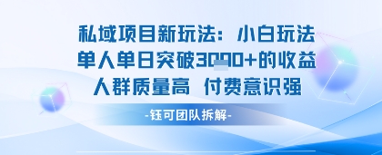 私域项目新玩法小白玩法单人单日突破1k的收益人群质量高付费意识强-站源网