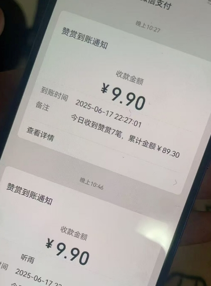 二次元男粉快速变现项目，私域卖虚拟产品，百分利润-站源网