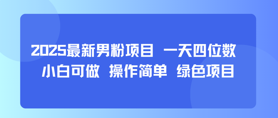2025最新男粉项目 一天四位数 小白可做 操作简单 绿色项目-站源网