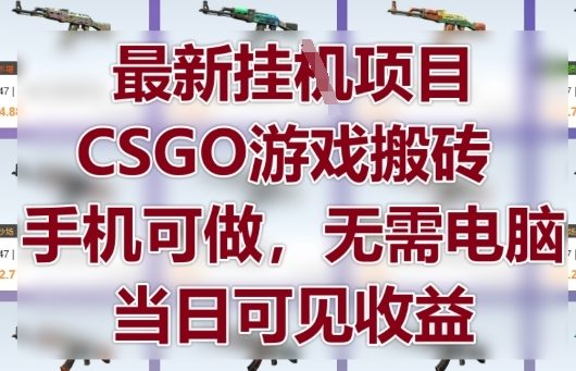 最新挂G项目，CSGO游戏搬砖，手机可做，无需电脑，当日见收益【揭秘】-站源网