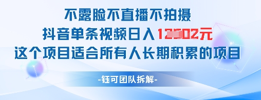 不露脸不直播不拍摄抖音单条视频日入1k+这个项目适合所有人长期积累的项目-站源网