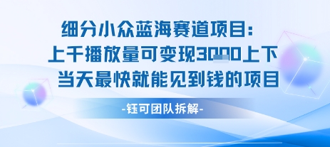 小众蓝海赛道项目：当天变现1k+适合新手操作 +适合长期玩-站源网